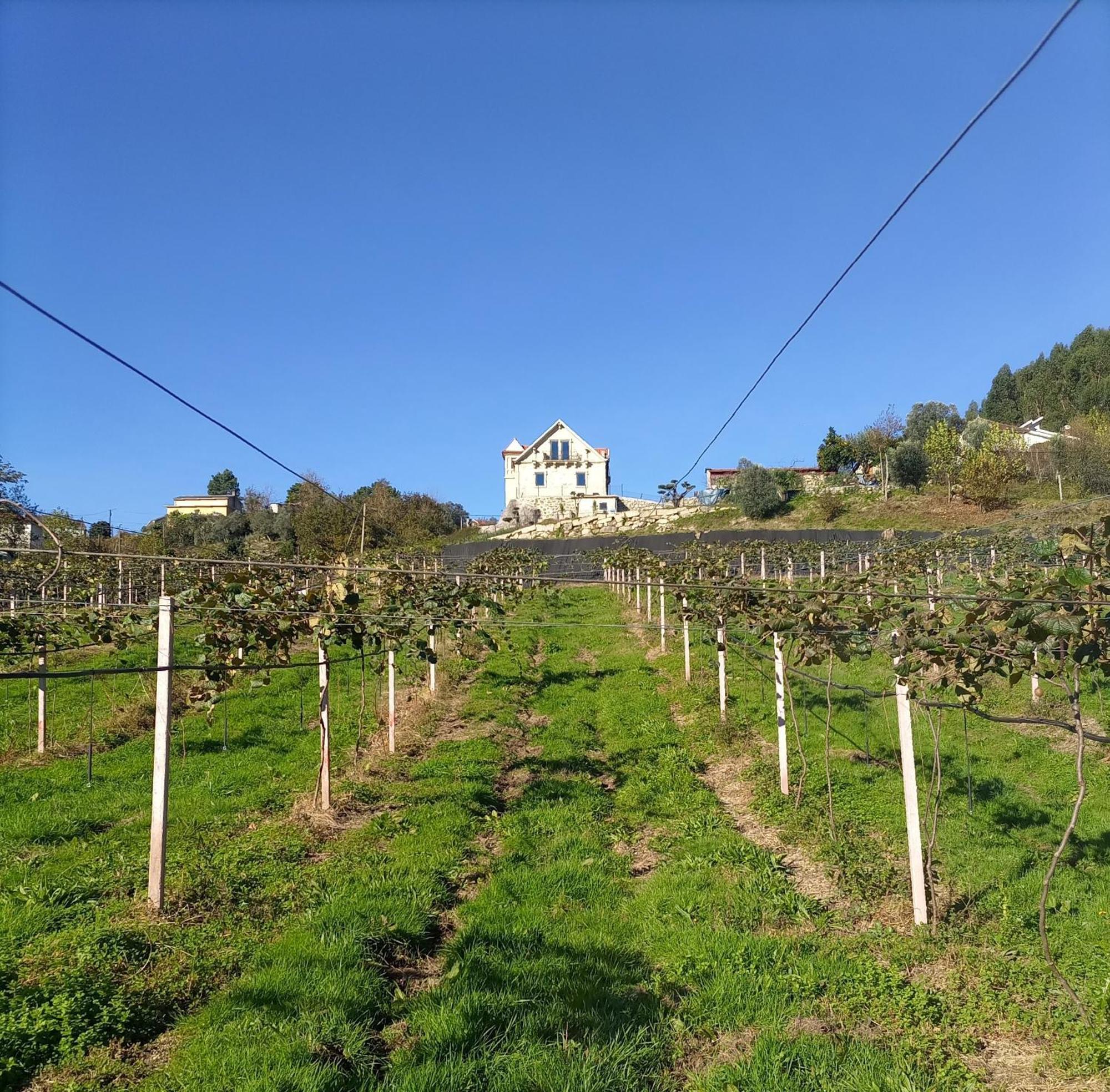 Quinta Do Bairro Villa Vieira do Minho Bagian luar foto